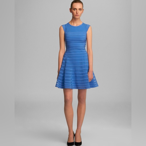 Halston Heritage Dresses & Skirts - Halston Heritage Blue Illusion Stripe Fit & Flare Dress Size 6